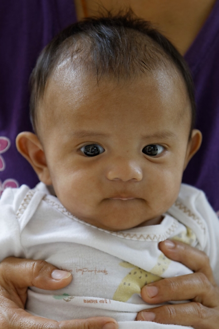 Famille et amis NOV12-079